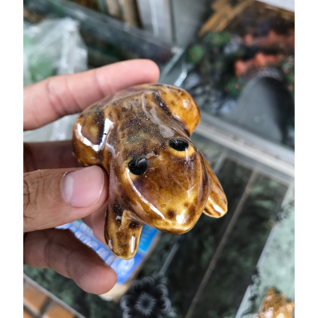 ẾCH NỔI TRANG TRÍ HỒ CÁ NON BỘ 5CM