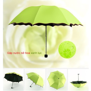 Ô dù che mưa nắng ☔ Ô dù chống cực tím UV