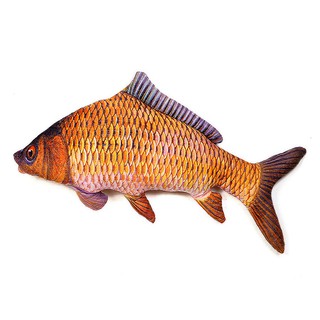 Gấu bông gối ôm cá chép 3d cao cấp