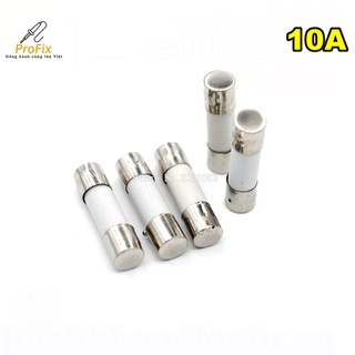 Cầu chì sứ 5x20mm 10a