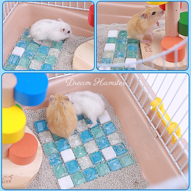 Đá tản nhiệt cho hamster