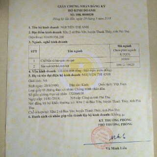 Cốt gừng nghệ hạt gấc 1lit
