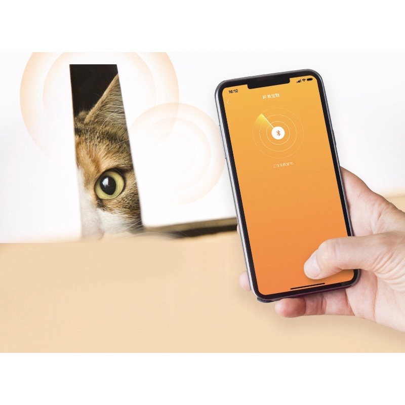 Vòng cổ định vị bé bằng ap Petkit