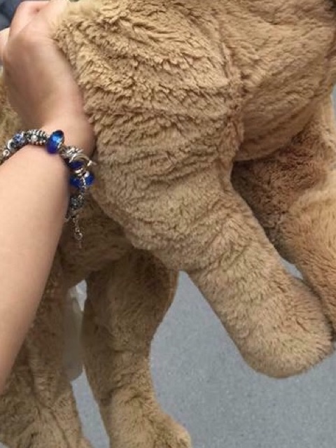 Sét gấu ôm chó mẹ và chó con IKEA