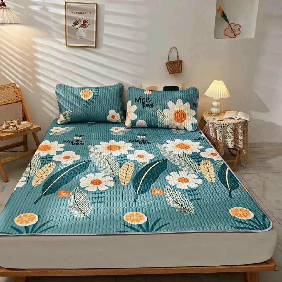 Chiếu Điều Hòa Cao Su Non Tặng Kèm 2 Vỏ Gối