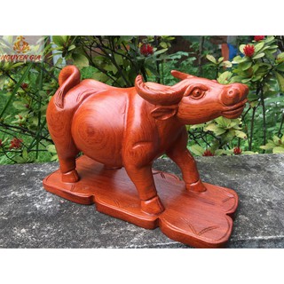 Tượng trâu phong thủy đứng núi tiền mang lại may mắn tài lộc bằng gỗ Hương ngang 30 cm