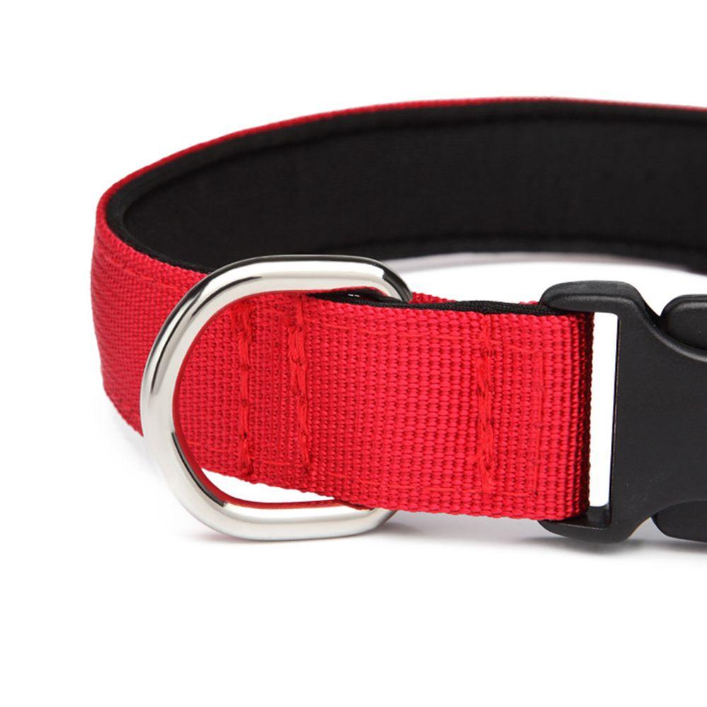 Vòng Cổ Nylon Nhiều Màu Sắc Dành Cho Thú Cưng Cỡ Vừa Và Lớn