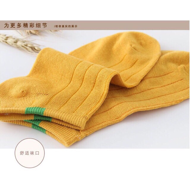 Set 10 Đôi Tất Gân Vintage Cổ Ngắn Kháng Khuẩn (Nhiều Màu)
