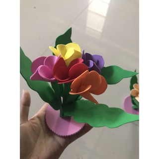 khóm hoa ngũ sắc đồ mầm non