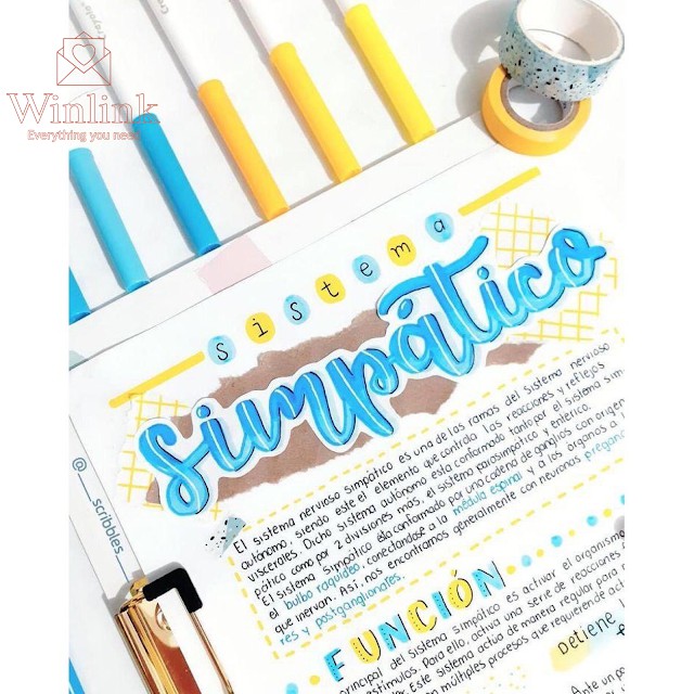Bộ Bút lông vẽ nét thanh nét đậm của Mỹ - Crayola Super tips 50 màu