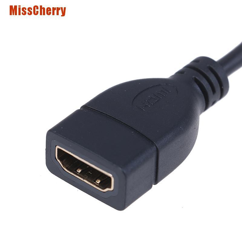 Cáp Chuyển Đổi Từ Cổng Micro Hdmi Đực Sang Hdmi Cái Cho Hdtv