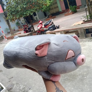 Set gối heo kèm chăn