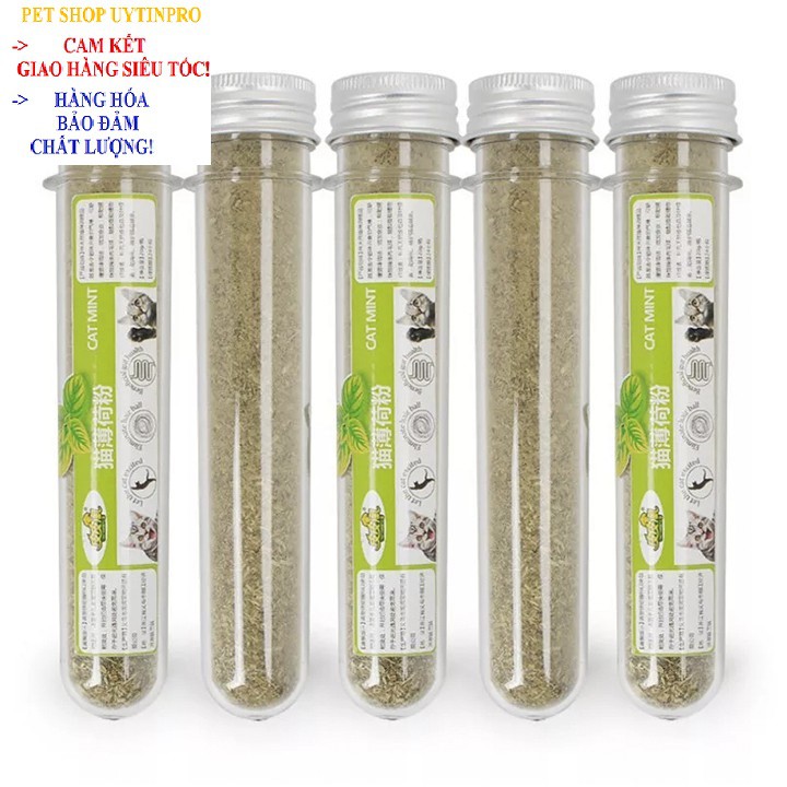 ỐNG CỎ BẠC HÀ MÈO Catnip HahaleỐng Cỏ Bạc Hà Mèo Cat mint Hahale