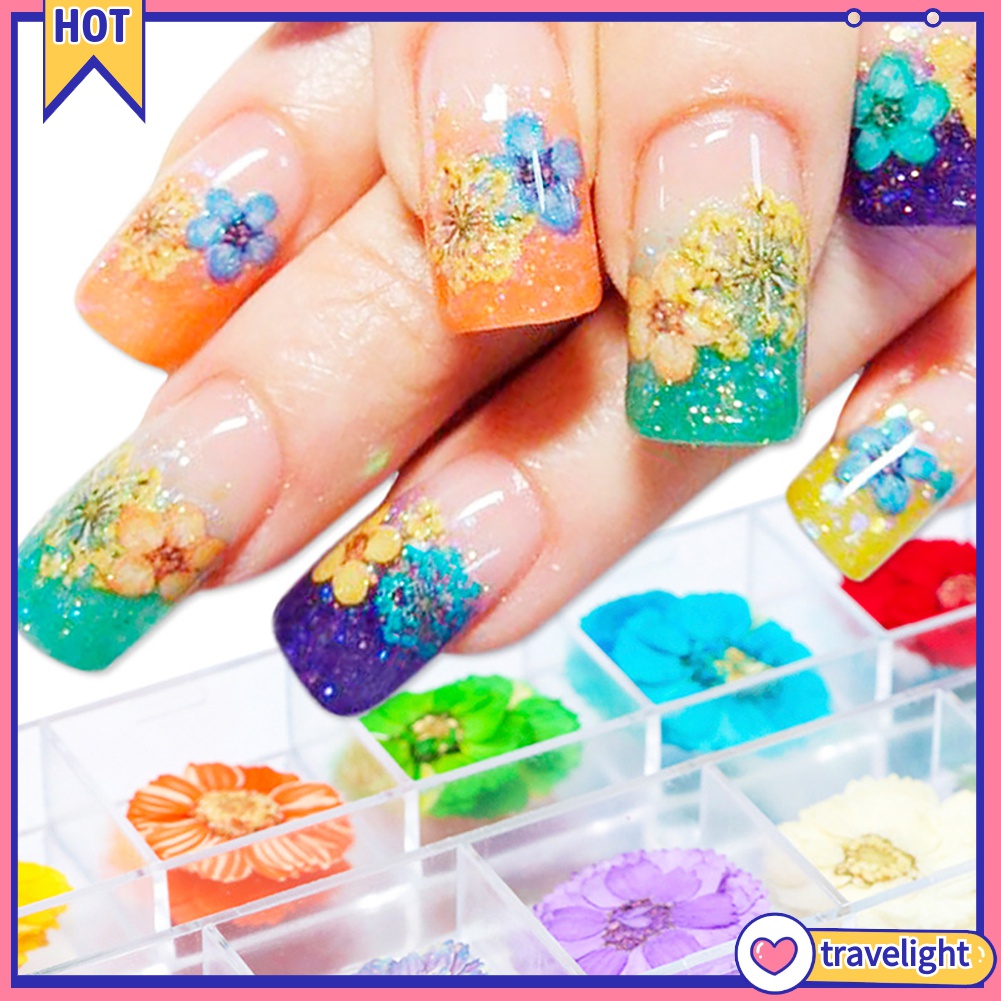 (Travelight) Hộp phụ kiện hoa khô trang trí móng tay