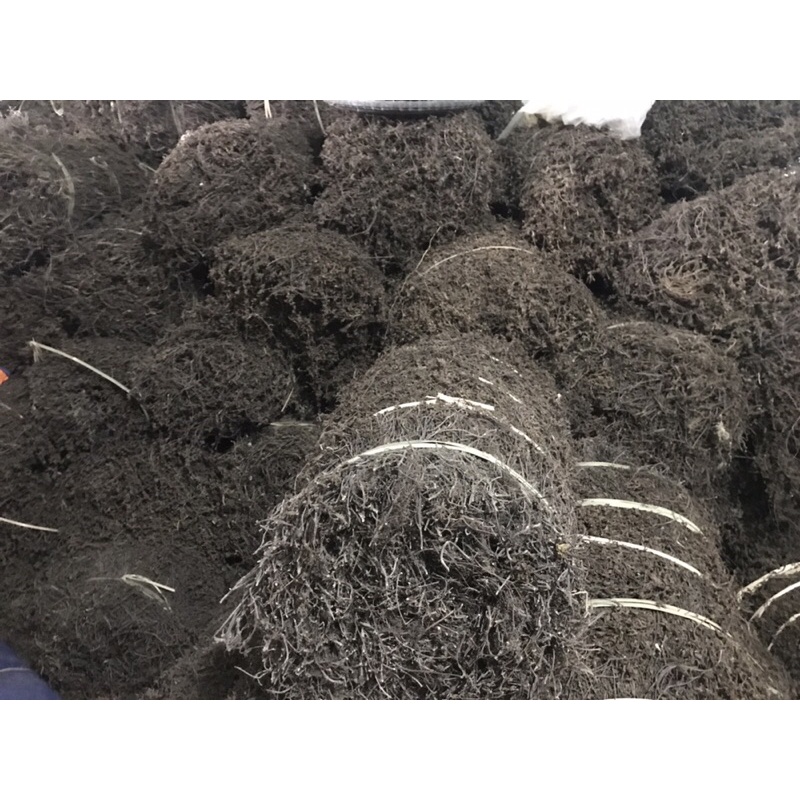 1kg Thạch nương Cao Bằng