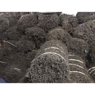 1kg Thạch nương Cao Bằng