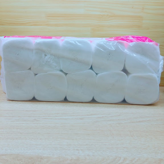 1 lốc ( 10 cuộn ) giấy vệ sinh saigon net không lõi màu hồng 200gram