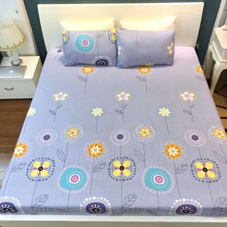 Ga trải giường + đôi vỏ gối (Bán rời)