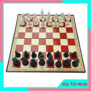 Bộ Cờ Vua Nam Châm Quốc Tế Loại Bé Mã Số: 2236 - Giúp Trẻ Phát Triển Tư Duy Logic Và  Sáng Tạo