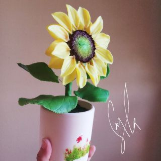 Hoa hướng dương đất sét