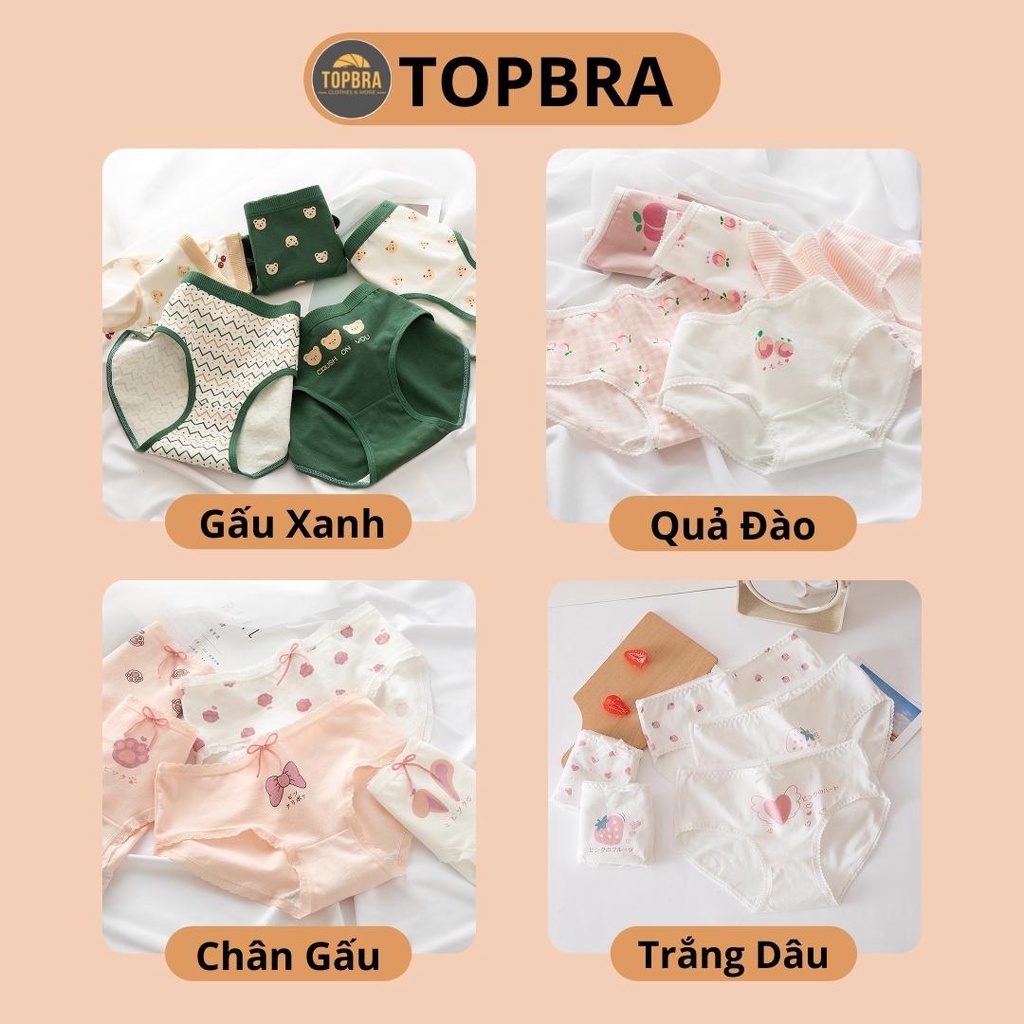 SET 5 Quần Lót Cotton Nữ Nâng Mông Thông Hơi Kháng Khuẩn Hút Mồ Hôi Hoạ Tiết Dễ Thương TOPBRA