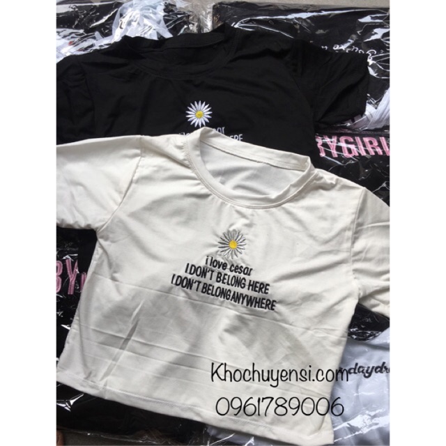 CropTop Bông Cúc Thêu ( Hình Thật) | BigBuy360 - bigbuy360.vn