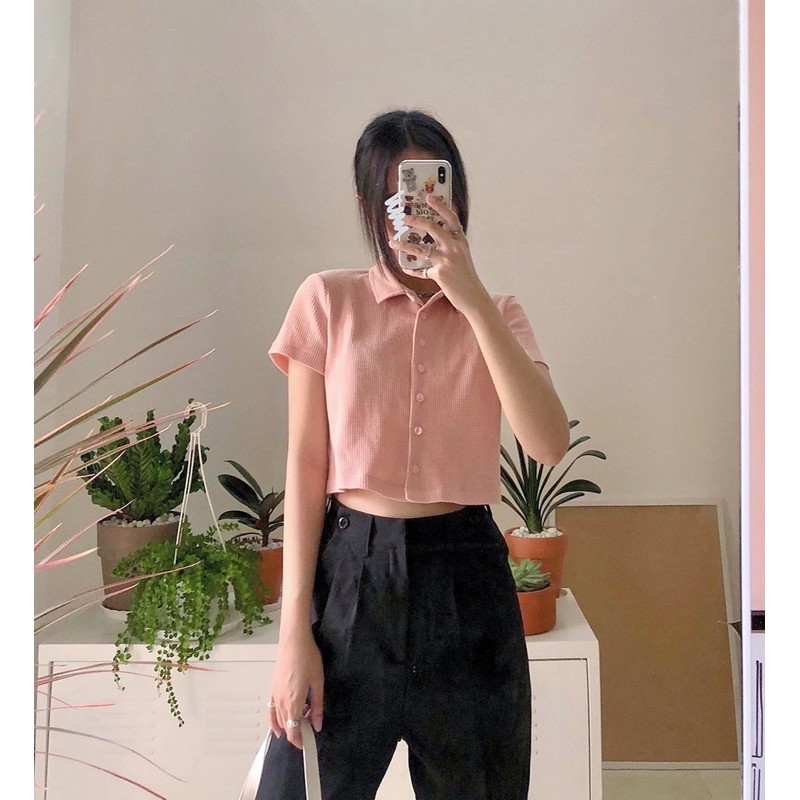 JANET STUDIO • Áo thun cổ polo tay ngắn | BigBuy360 - bigbuy360.vn