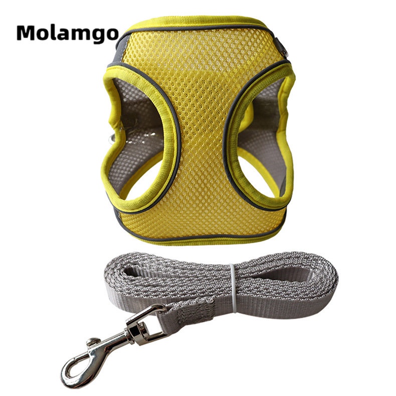 Dây Dắt Thú Cưng Phản Quang Thoáng Khí Kèm Dây Dắt