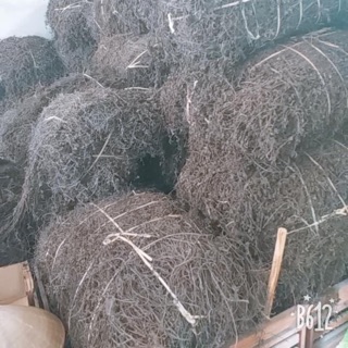 Cây thạch đen Cao Bằng (1kg) 0945513883