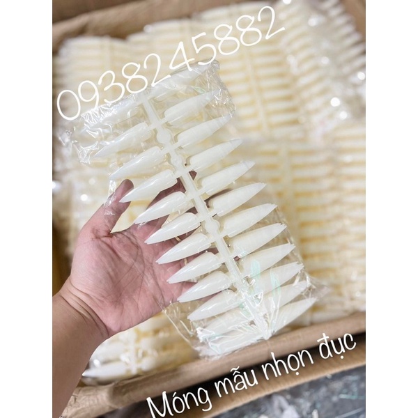 Móng Mẫu nhọn dài 240móng