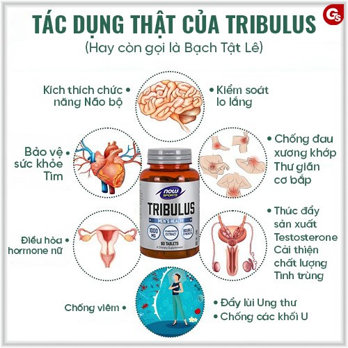 Thực phẩm bổ sung Now Tribulus 1000mg, 180 viên - hỗ trợ tăng cơ và phục hồi cơ bắp