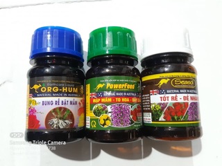 ORG HUM - Bung Rễ, Bật Mầm (chai 100ml)