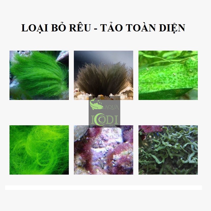 Dung dịch diệt rêu hại hồ cá SUNSUN Moss Removal Algaecide - Voonline Algae Remover
