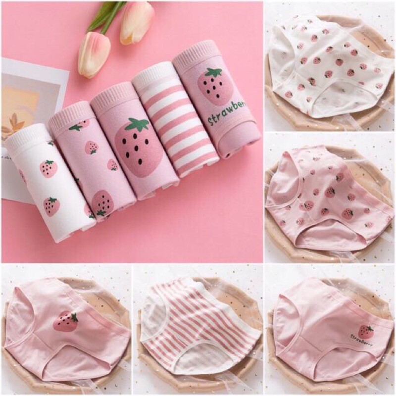 [SET 5C] 5 quần lót học sinh- sinh viên cotton  siêu dễ Thương DT