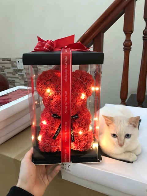 Gấu hoa (size 30cm) full hộp + đèn siêu đáng yêu cho Crush 😍😍😍 | BigBuy360 - bigbuy360.vn