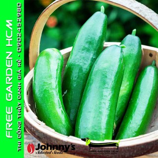 COMBO 25 HẠT DƯA LEO (DƯA CHUỘT) DIVA - Johnny’s Seed – Mỹ
