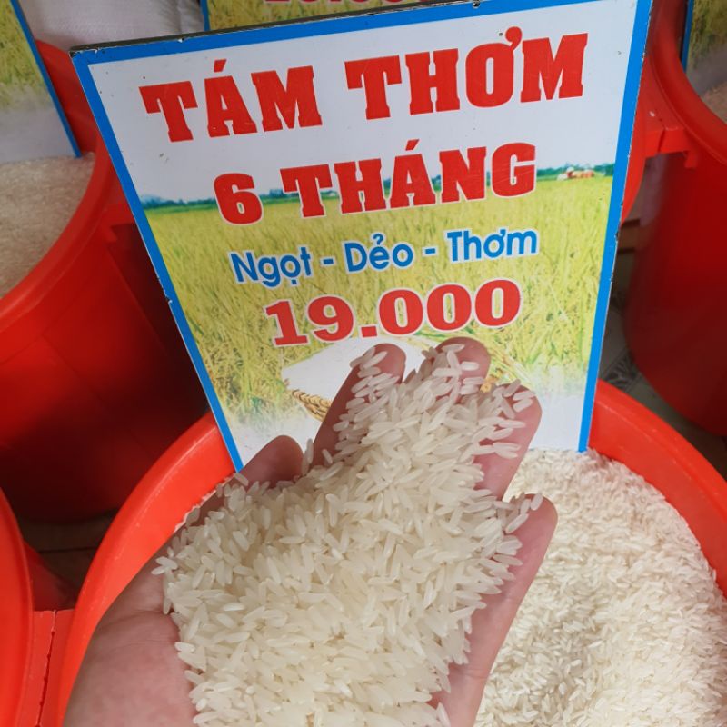 [ Gò Vấp ] Tám Thơm 6 Tháng Thơm, Dẻo Vừa Ngon Cơm | BigBuy360 - bigbuy360.vn