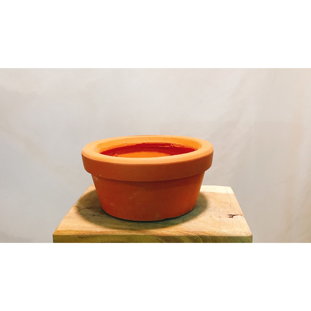 chậu đất nung 12 cm .
