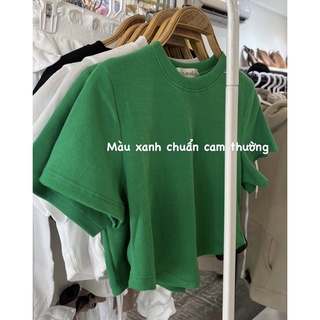 ÁO CROPTOP XẺ V THUN GÂN (ảnh thật)