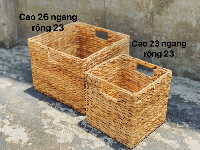 Hộc lục bình