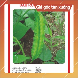 Hạt giống Đậu Rồng 5Gram Hạt giống
