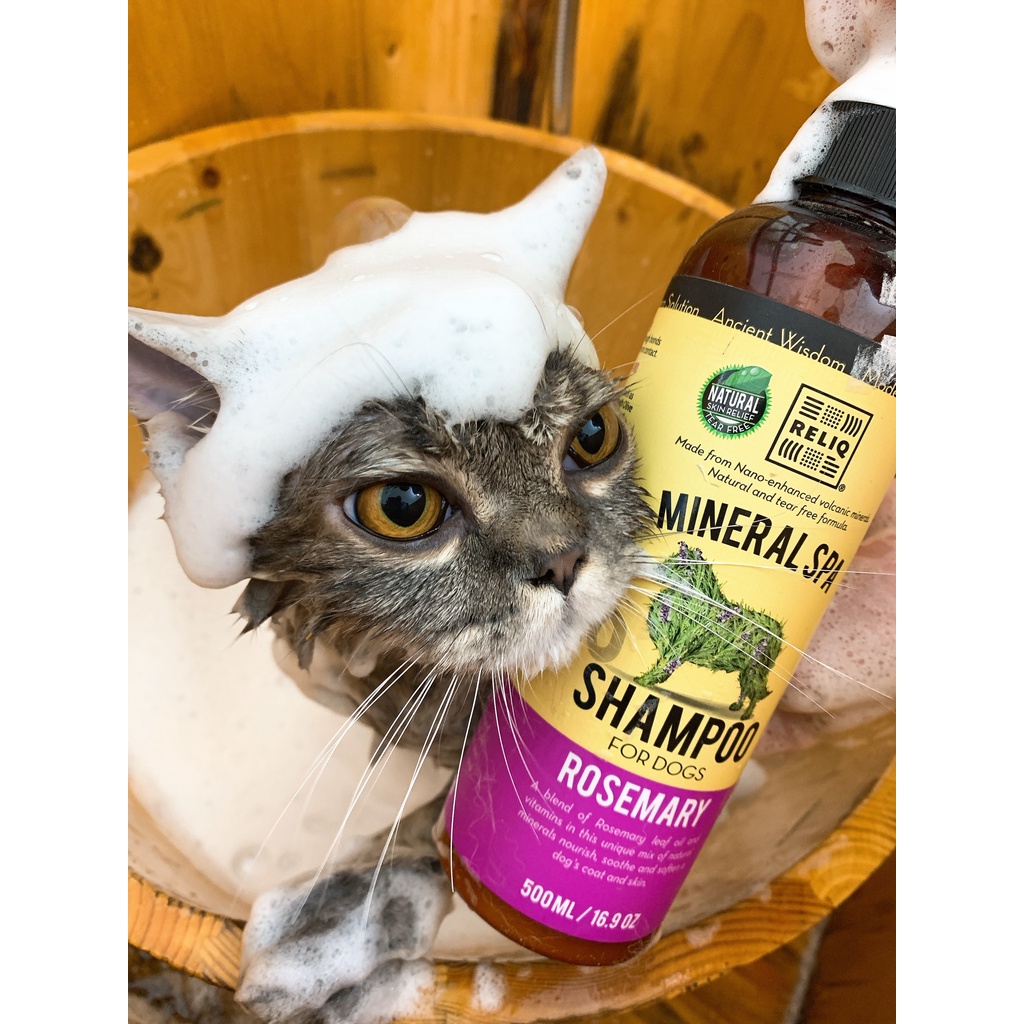 Sữa tắm dưỡng mềm lông RELIQ dành cho chó mèo 500ml