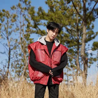 Áo khoác phao gile hoodie AK1201