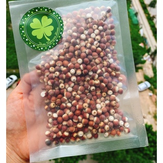 Hạt khiếm thực nguyên vỏ cám