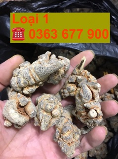 Củ tam thất ( 1kg ) uy tín chất lượng