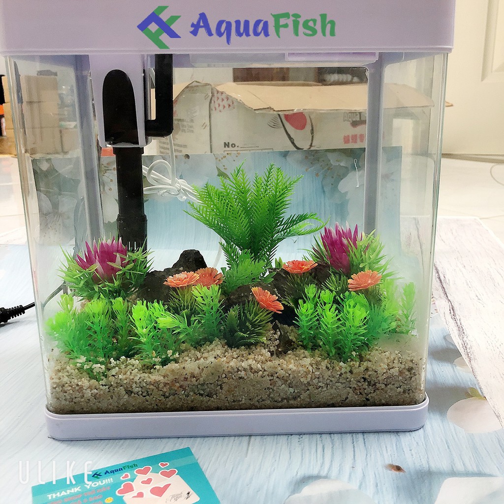 Bộ Bể Cá Bằng Kính Đúc MJ 260 (đã bao gồm đèn và bộ lọc, tặng bộ trang trí trị giá 100k)