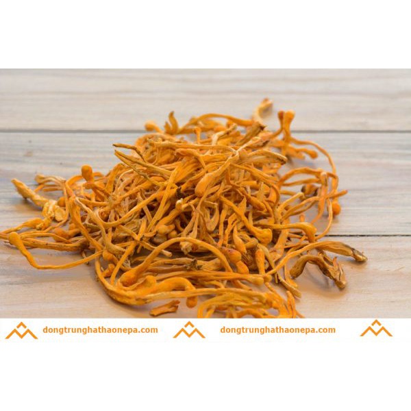 Gói 50g đông trùng thảo khô, hàng loại 1