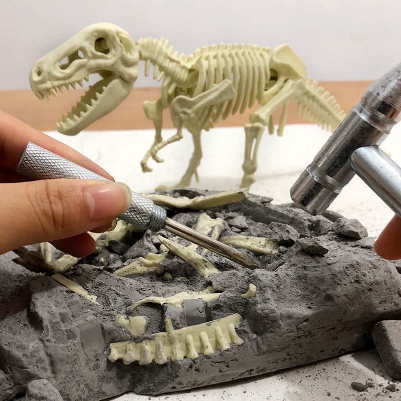 ►Hóa thạch khủng long Tyrannosaurus mô hình bộ xương handmade tự làm đào kho báu đá quý khai quật khảo cổ học đồ chơi