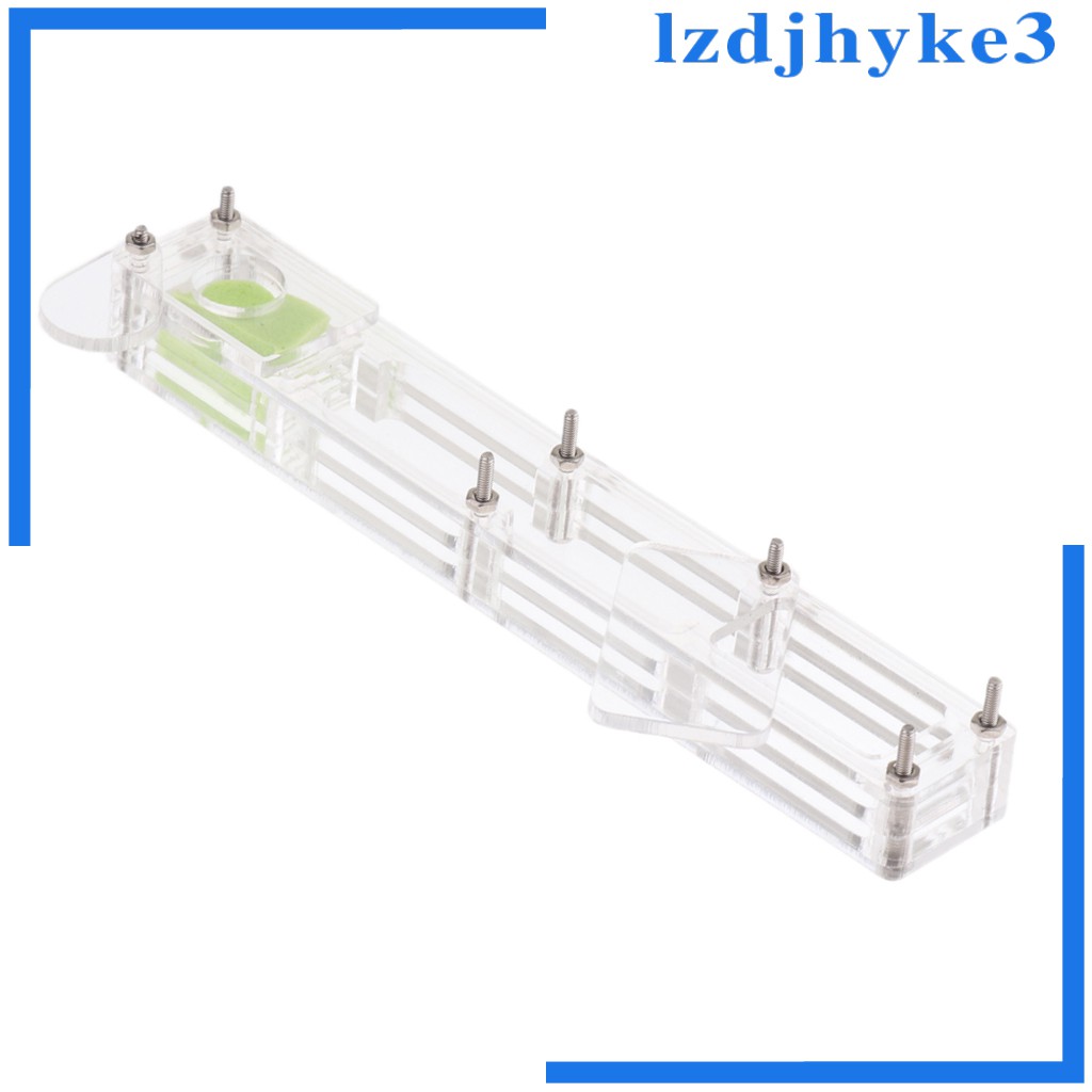 [lzdjhyke3] Hộp Nuôi Kiến Nhỏ Bằng Acrylic Trong Suốt Cho Nông Trại