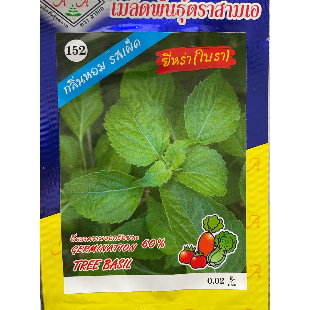 Hạt giống Húng bạc hà của người Thái lan nhập nguyên gói 0.02gr (Tree Basil)
